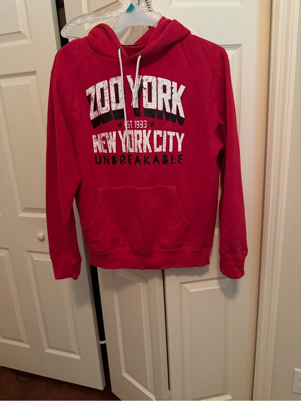 Vintage American Eagle Zoo York Red Pullover Hoodie with New York City Graphic M